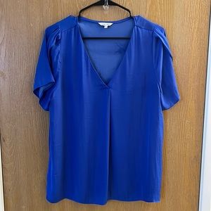 Royal blue Naked Zebra top